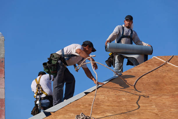 Best Metal Roofing Contractor  in Rochester, MN