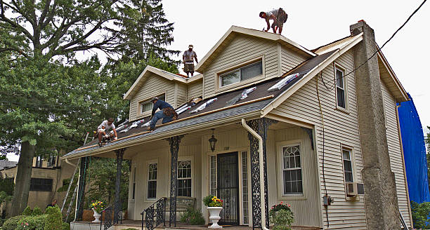 Best Storm Damage Roof Repair  in Rochester, MN